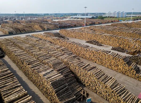 木材市场,木材交易,木材厂家-林信宝木材